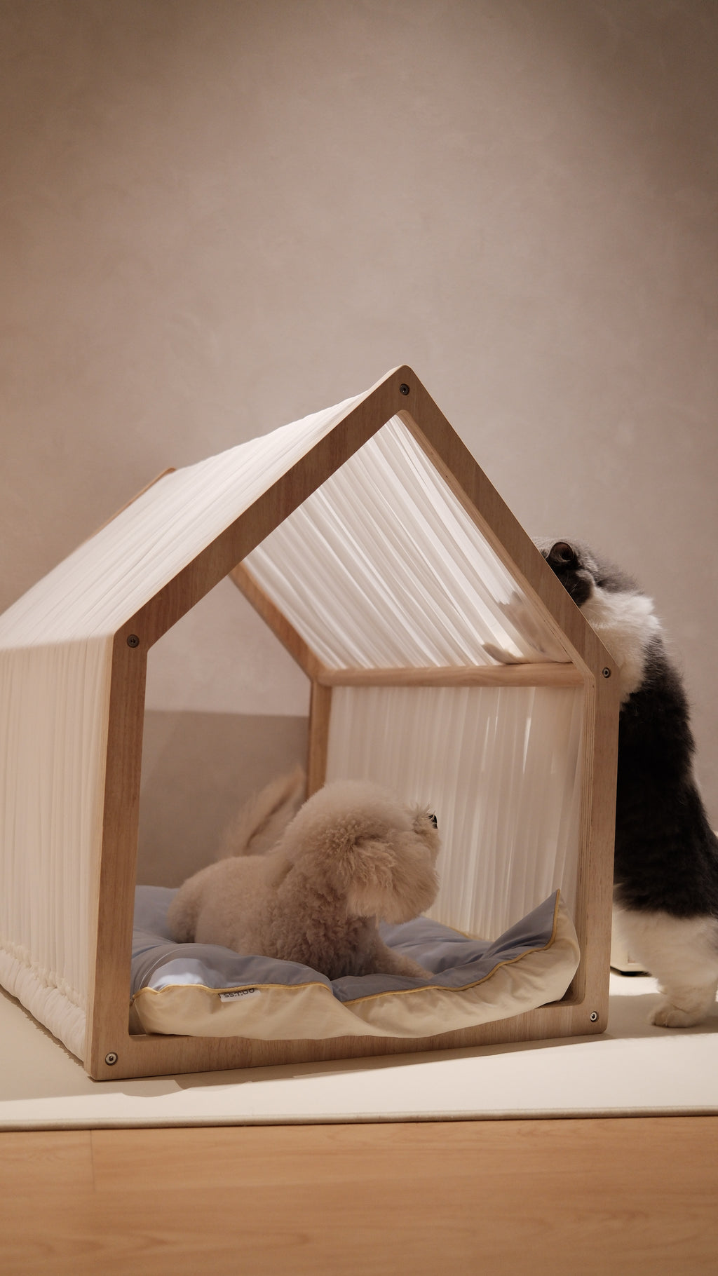 Home | Pawhaus × PawScoutSquad (Pre order, ETA 7 Dec 2026)