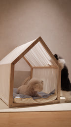 Home | Pawhaus × PawScoutSquad (Pre order, ETA 7 Dec 2026)
