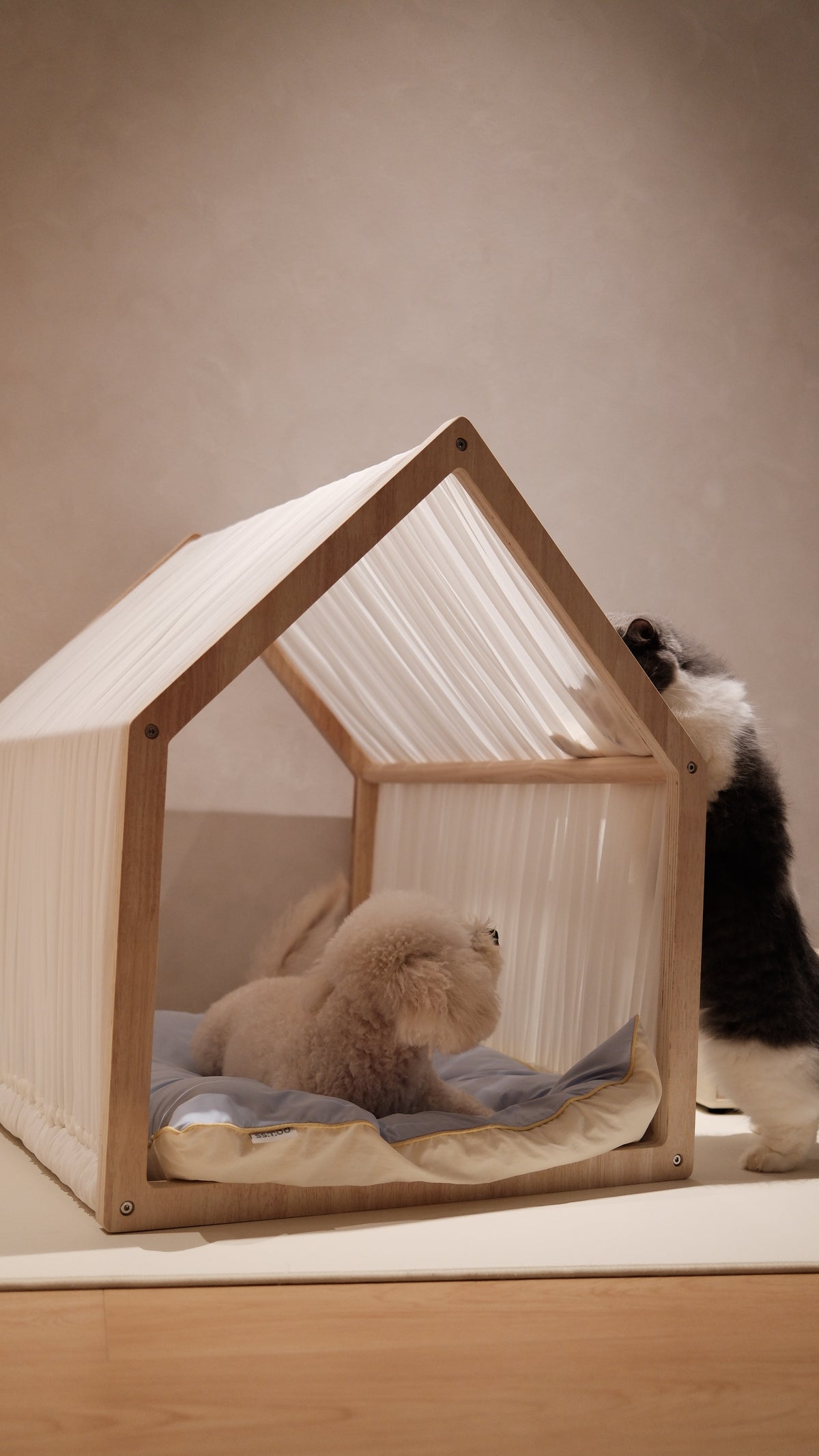 Home | Pawhaus × PawScoutSquad (Pre order, ETA 7 Dec 2026)