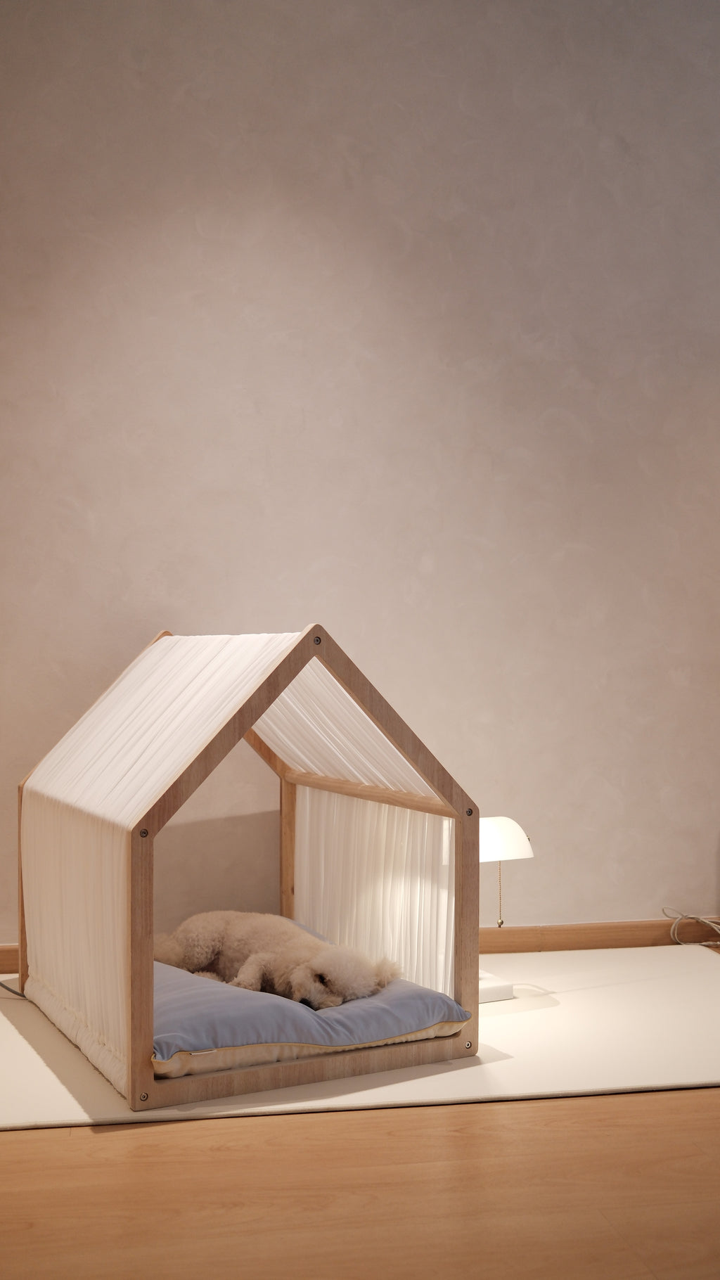 Home | Pawhaus × PawScoutSquad (Pre order, ETA 7 Dec 2026)