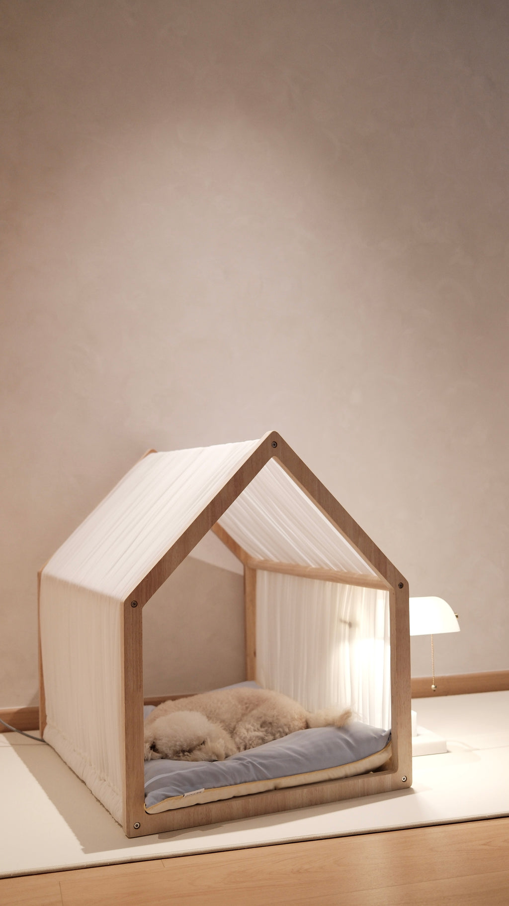 Home | Pawhaus × PawScoutSquad (Pre order, ETA 7 Dec 2026)
