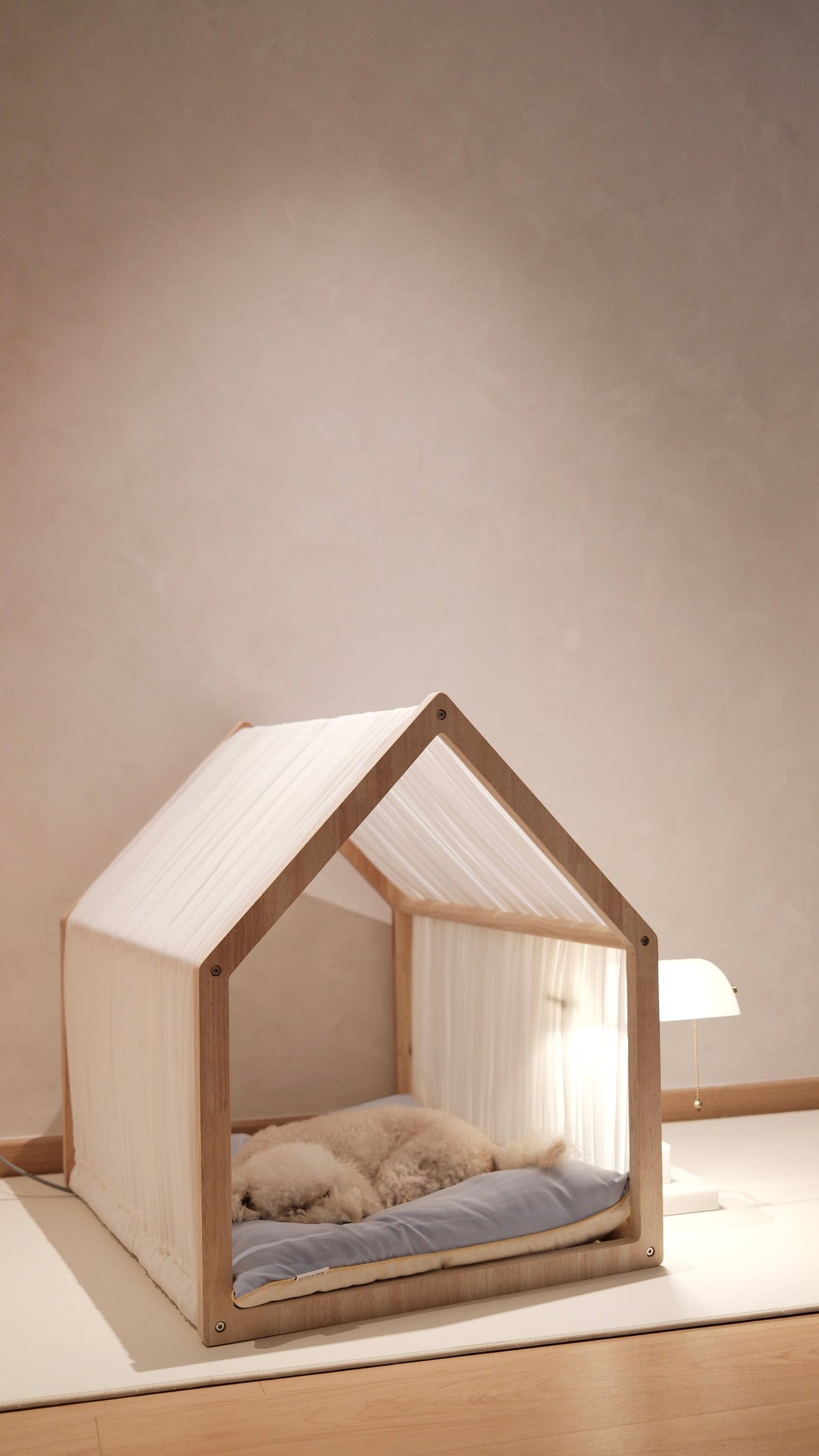 Home | Pawhaus × PawScoutSquad (Pre order, ETA 7 Dec 2026)