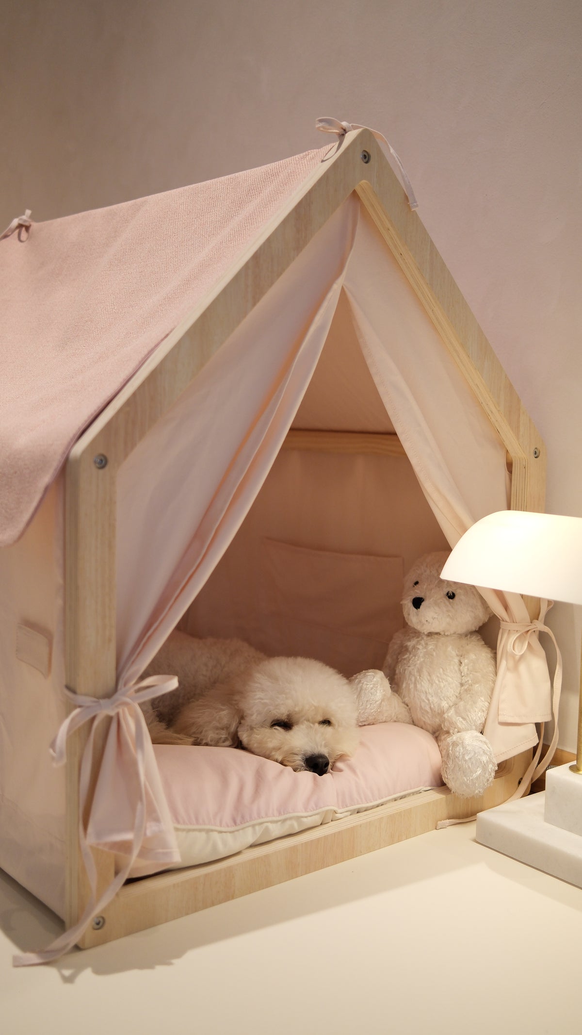 Home | Pawhaus × PawScoutSquad (Pre order, ETA 7 Dec 2026)