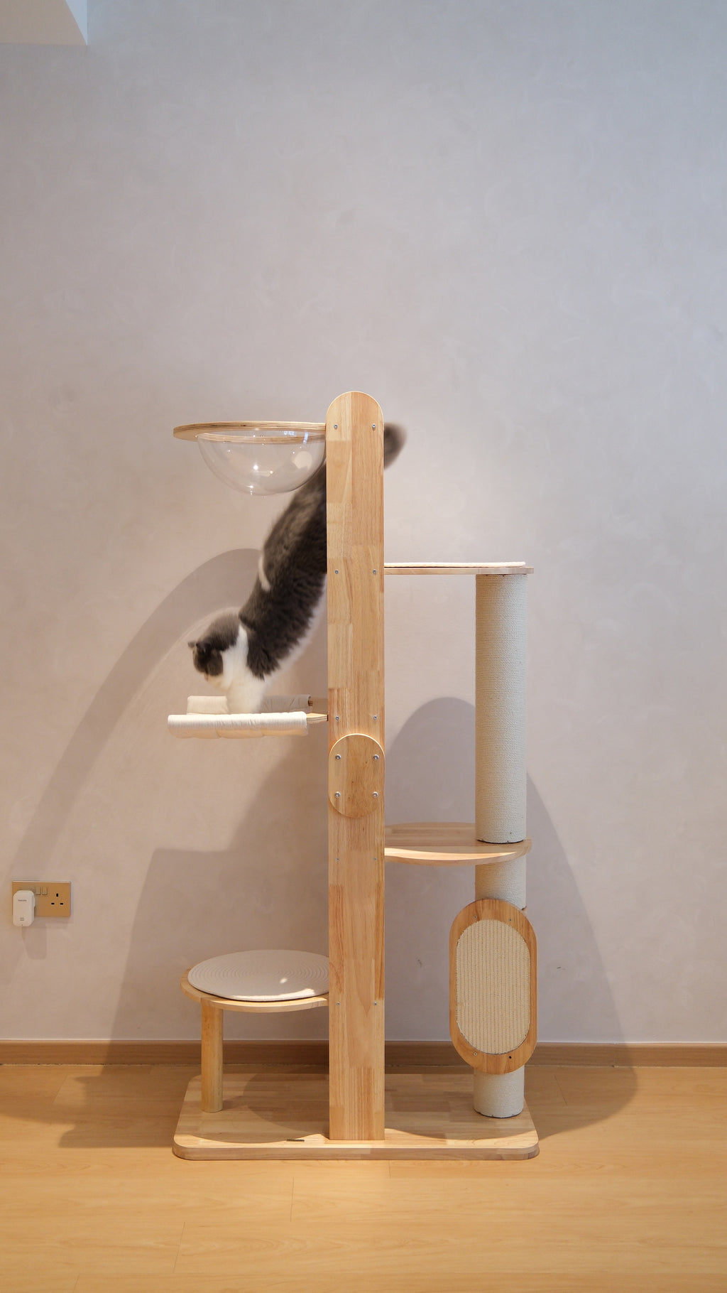 Purrch Club - Loft