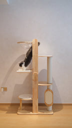 Purrch Club - Loft