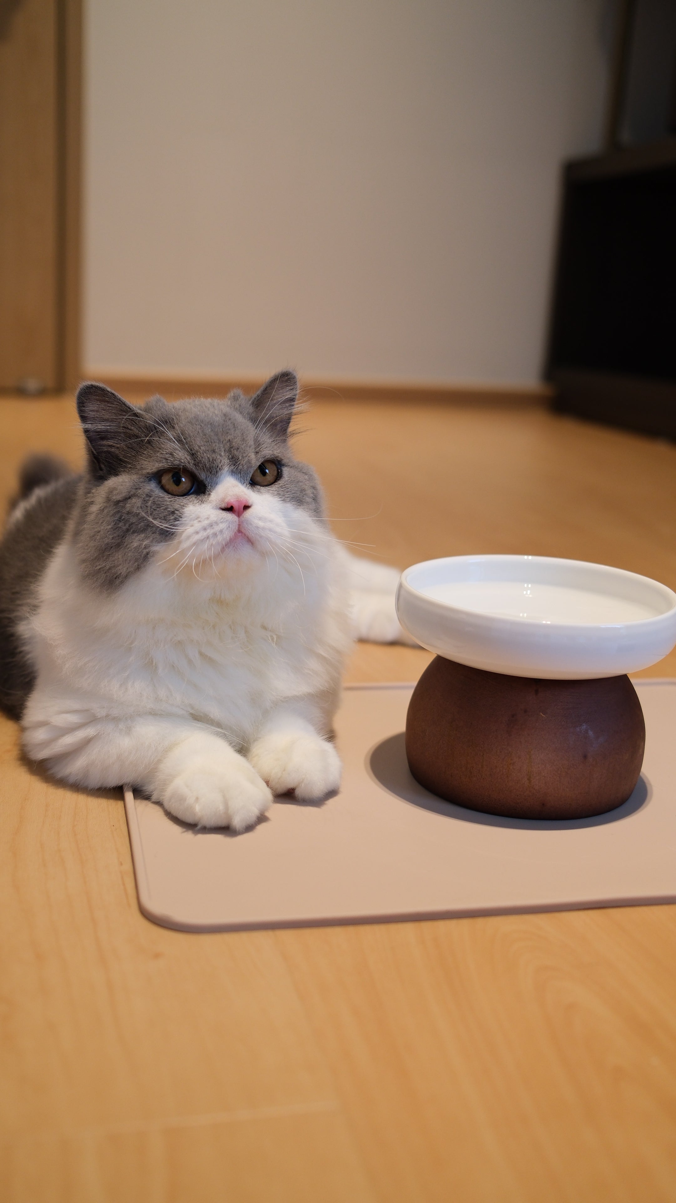 Pawhaus Tableware - Single Stand Collection