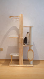 Purrch Club - Loft