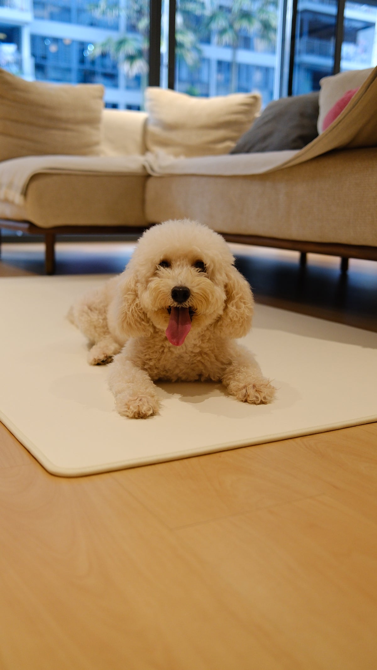 Pawhaus CloudMat™