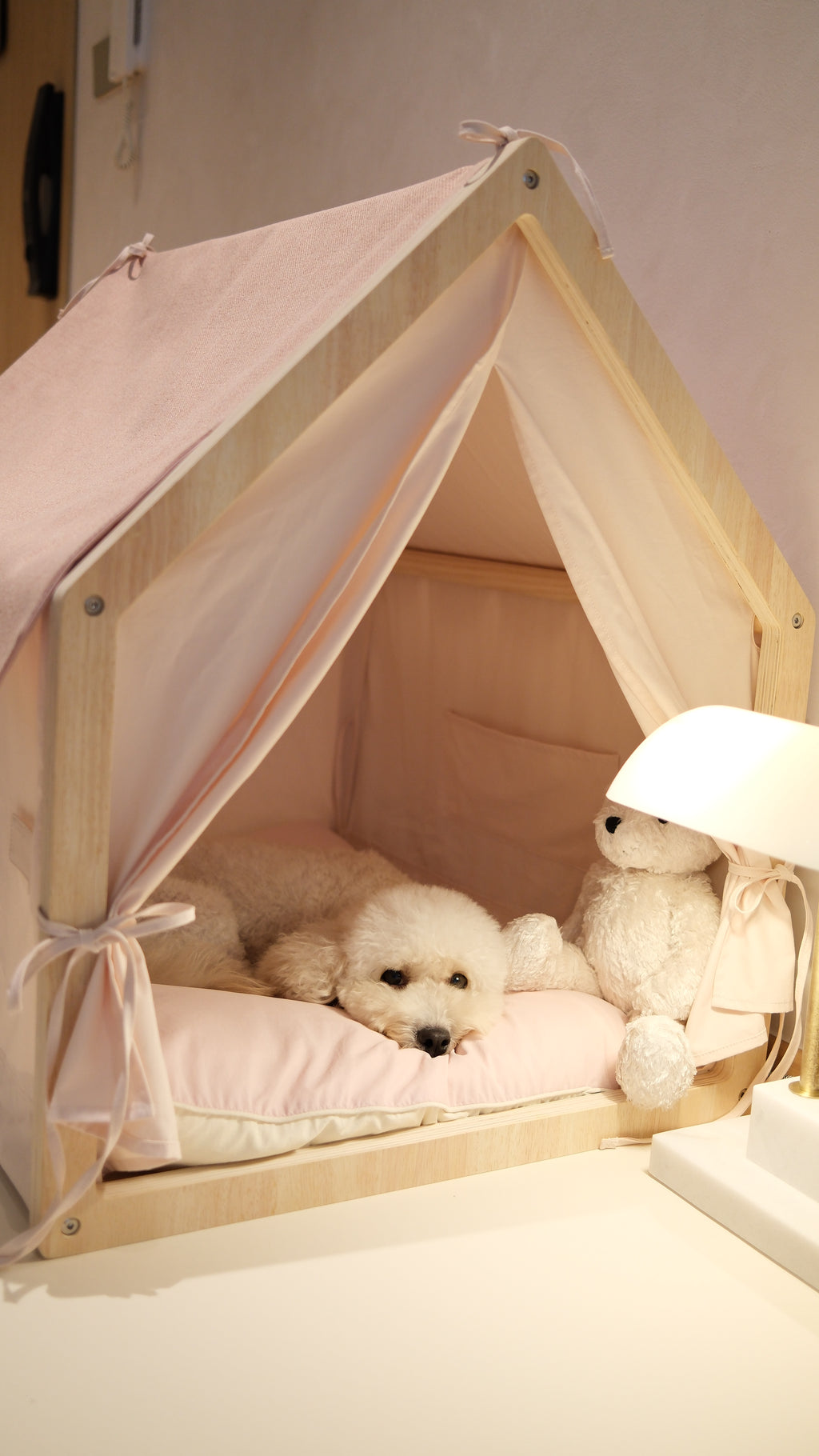 Home | Pawhaus × PawScoutSquad (Pre order, ETA 7 Dec 2026)