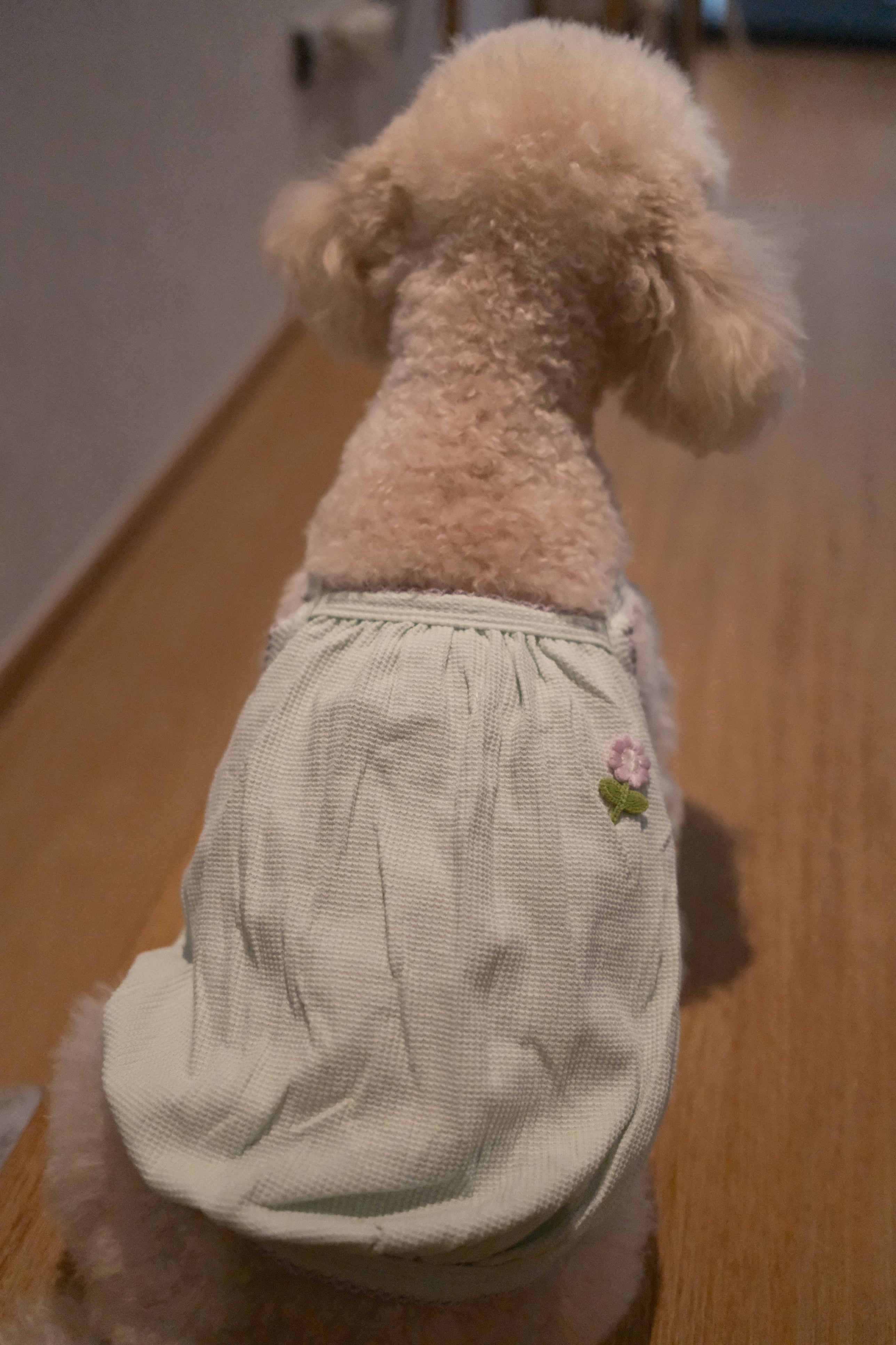 Pastel Blossom Singlet