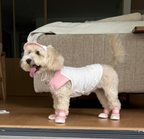 Pawhaus Ultra-Light Cooling Pet Vest
