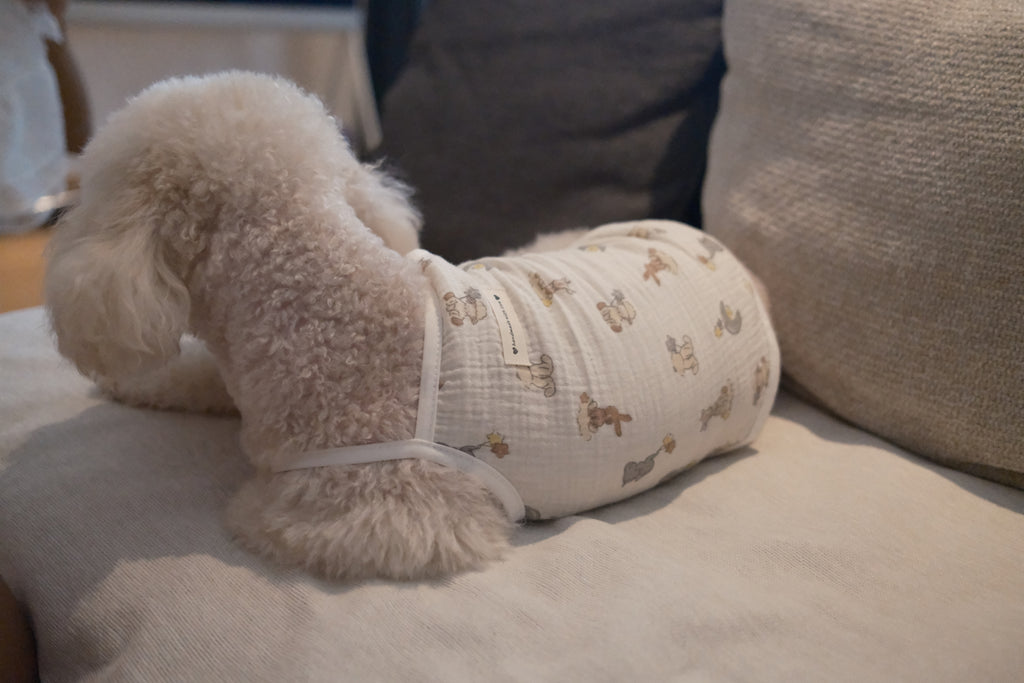 CloudSoft Loungewear