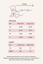 Spring Meadow Harness & Leash Set