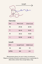 Lilac Sky Harness and Leash