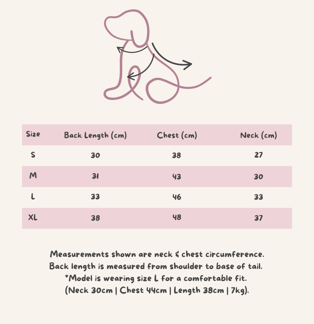 The Gingham Belle in Black