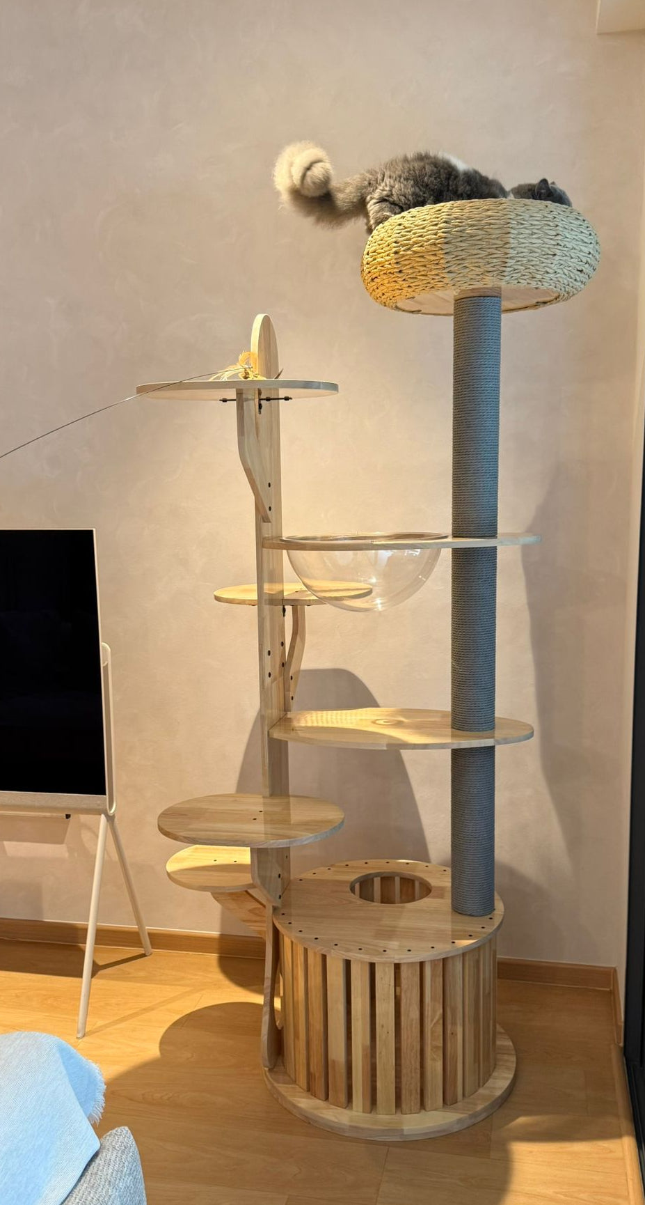 Purrch Club - Cloud Pod