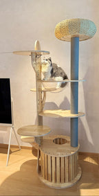 Purrch Club - Cloud Pod