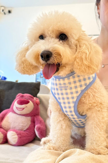 Blue Gingham Comfort Harness & Leash Set