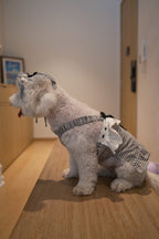 The Gingham Belle in Black