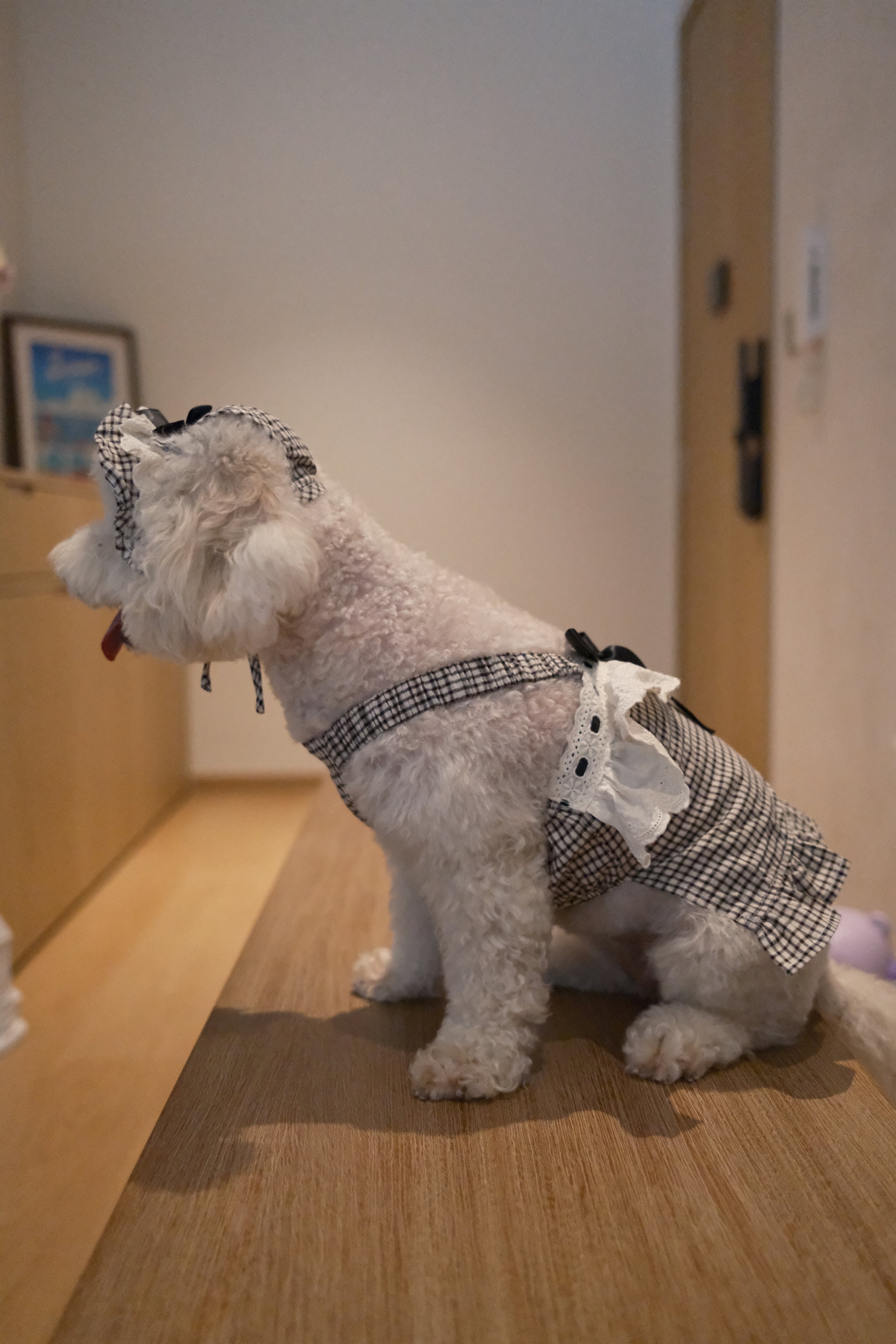 The Gingham Belle in Black