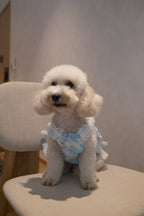 Ethereal Garden Collection