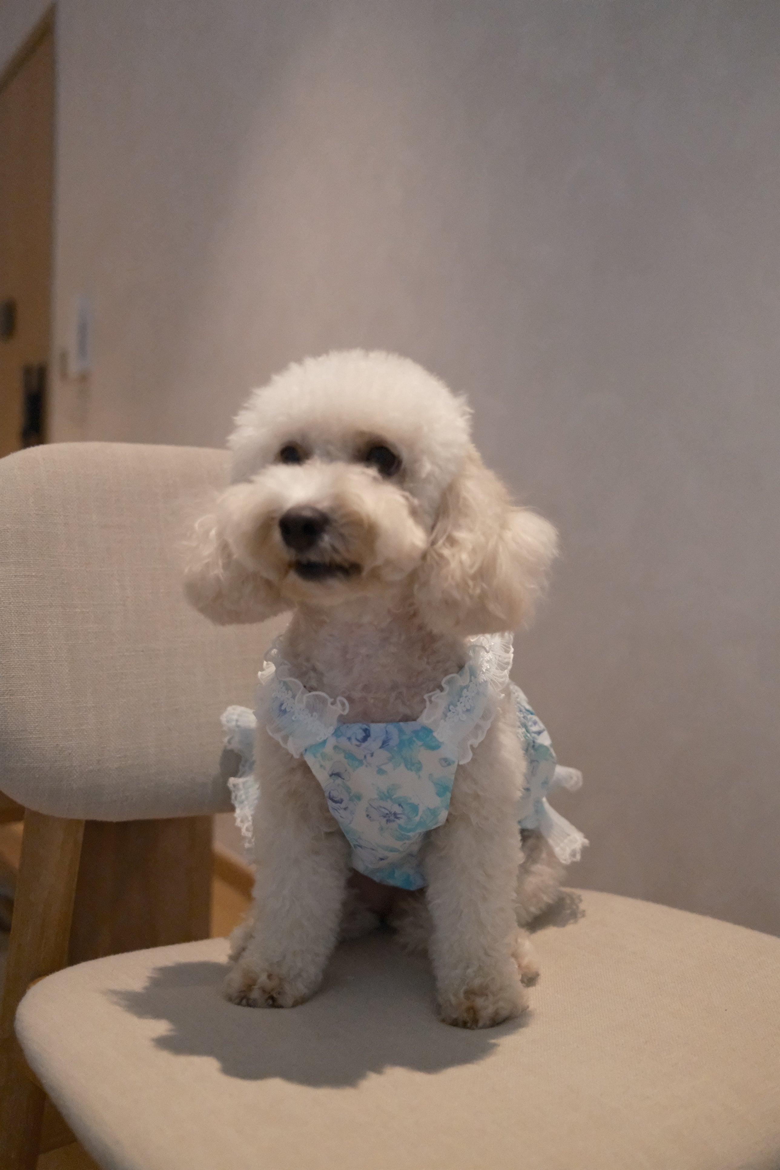 Ethereal Garden Collection