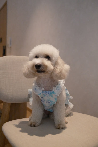 Ethereal Garden Collection