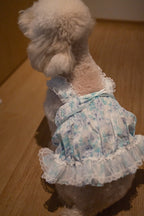 Ethereal Garden Collection