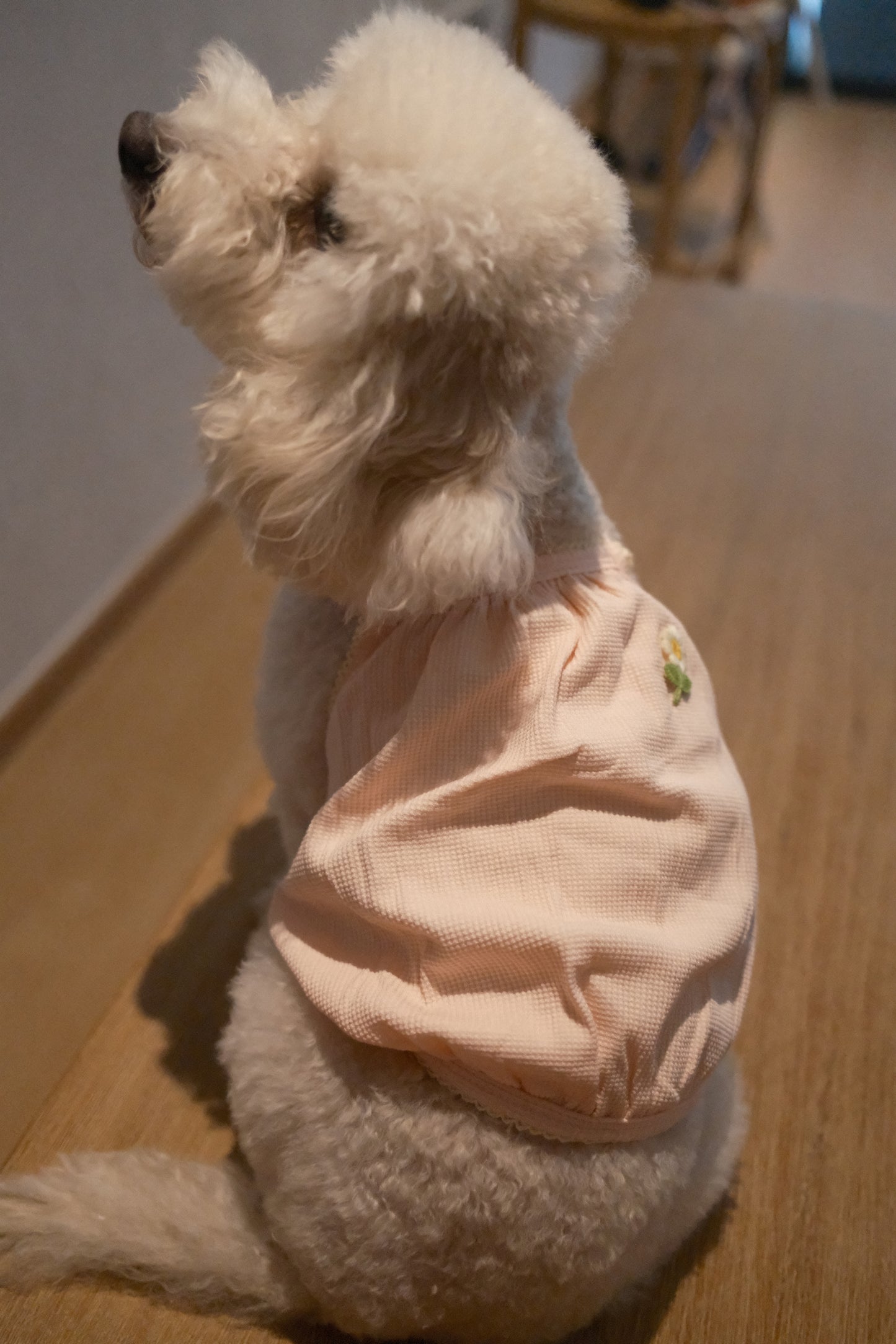 Pastel Blossom Singlet