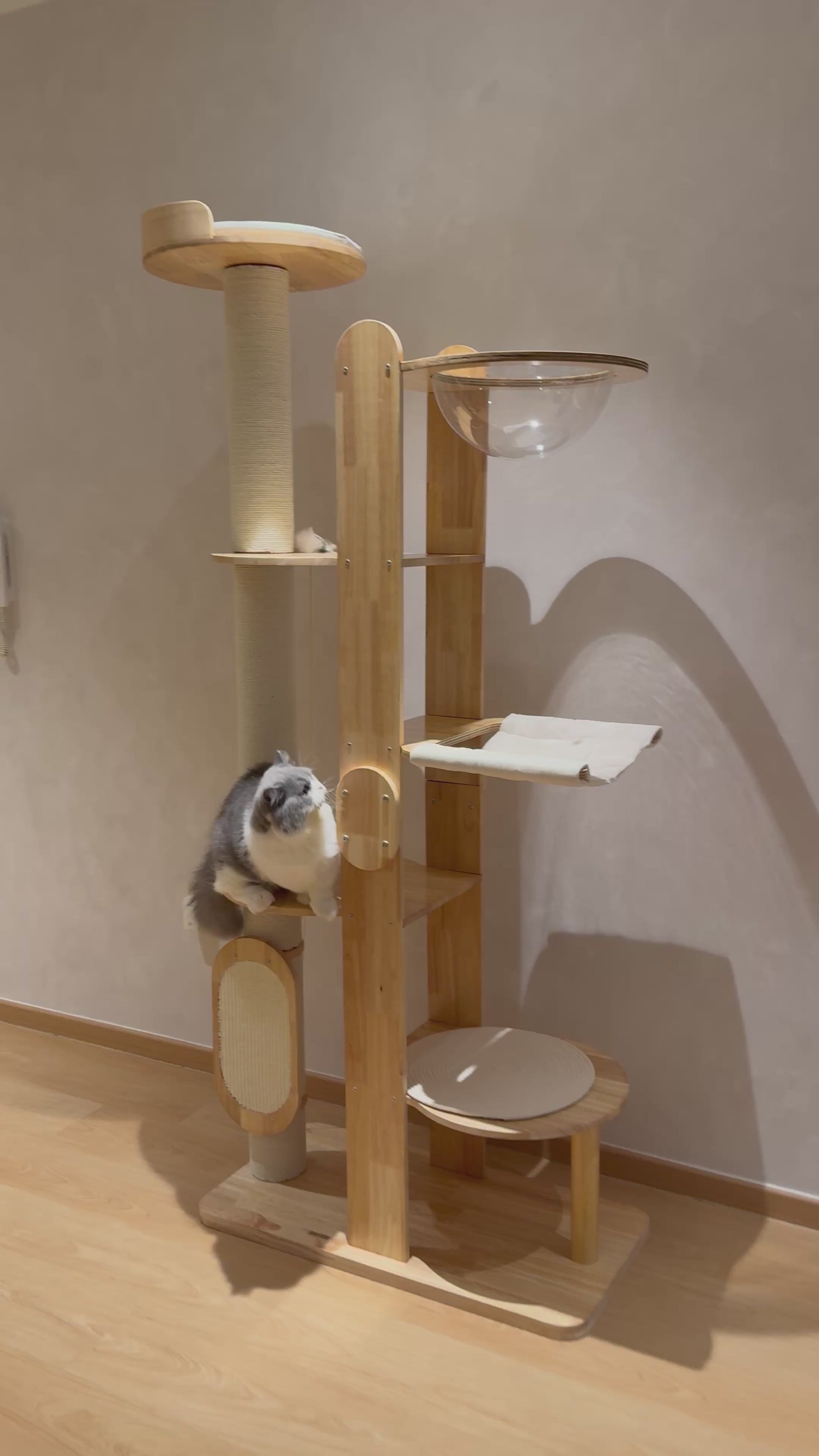 Purrch Club - Loft
