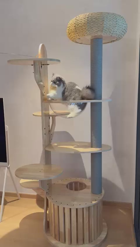 Purrch Club - Cloud Pod