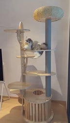 Purrch Club - Cloud Pod