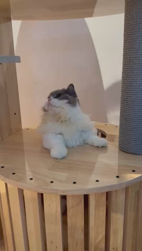 Purrch Club - Cloud Pod