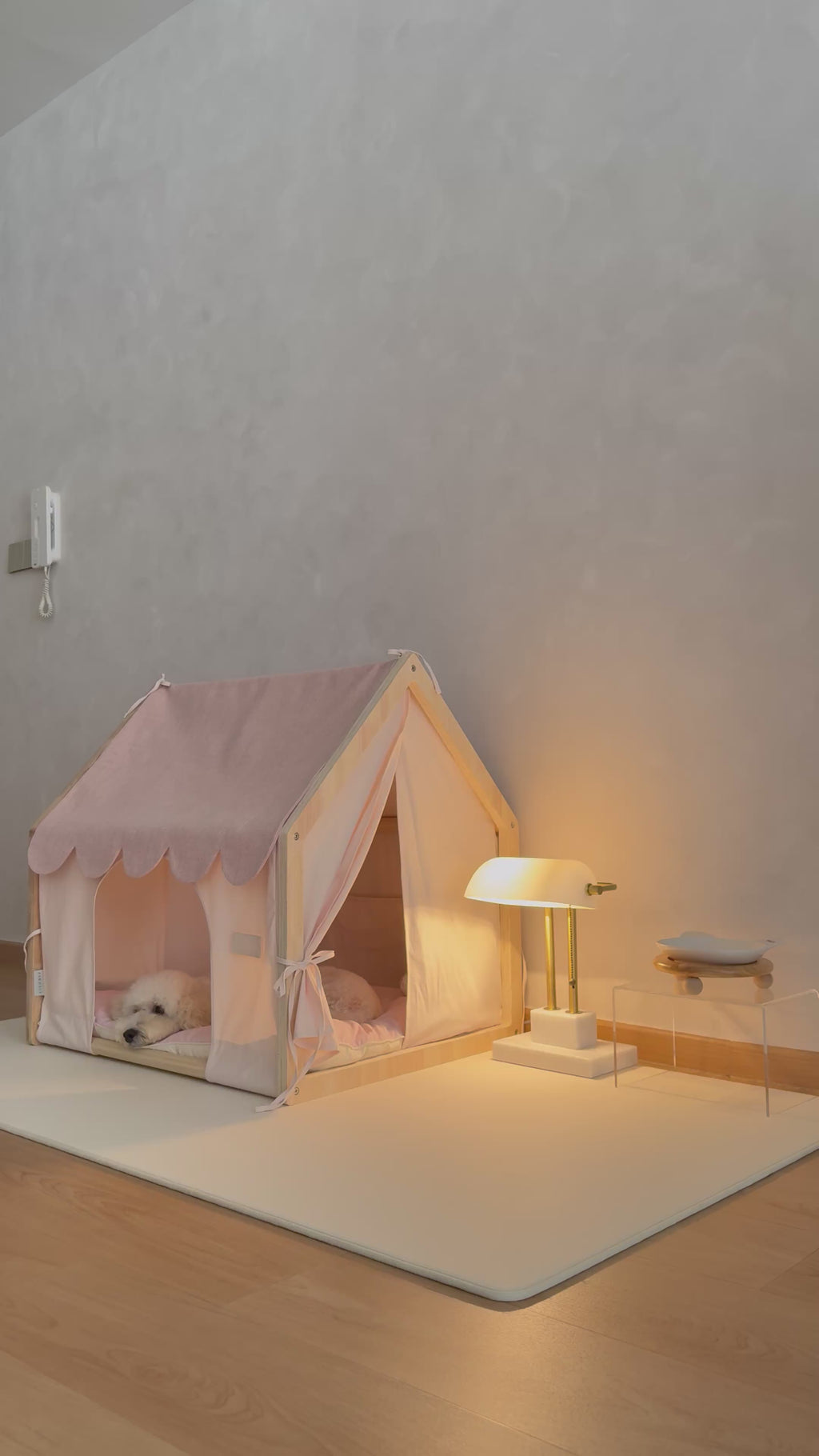 Home | Pawhaus × PawScoutSquad (Pre order, ETA 7 Dec 2026)