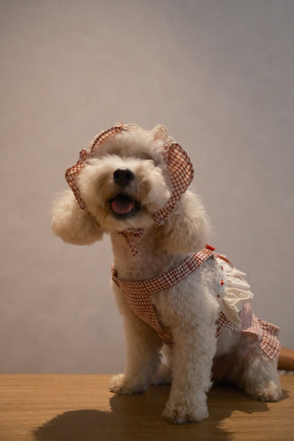 The Gingham Belle in Red