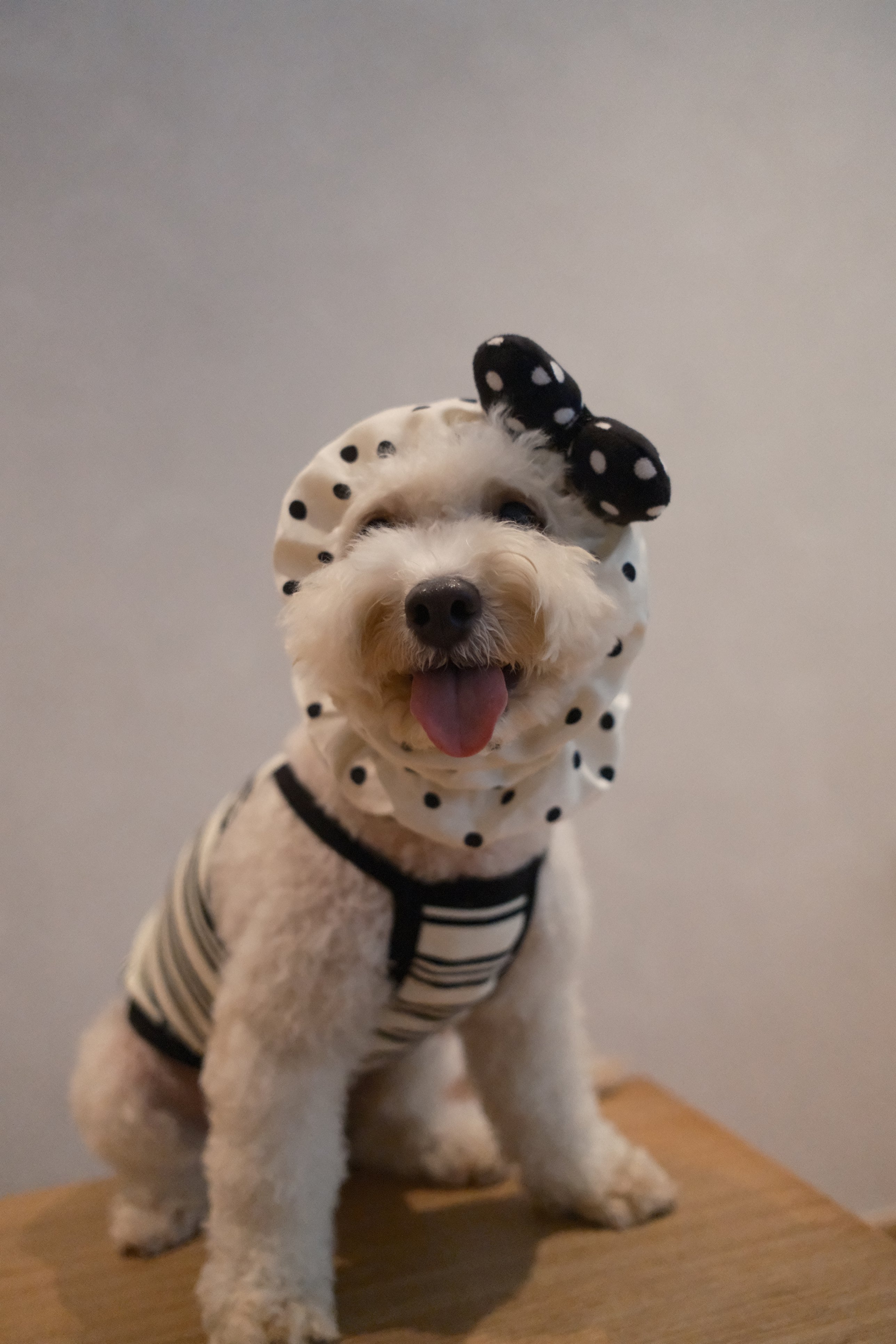 Polka Dots Snood